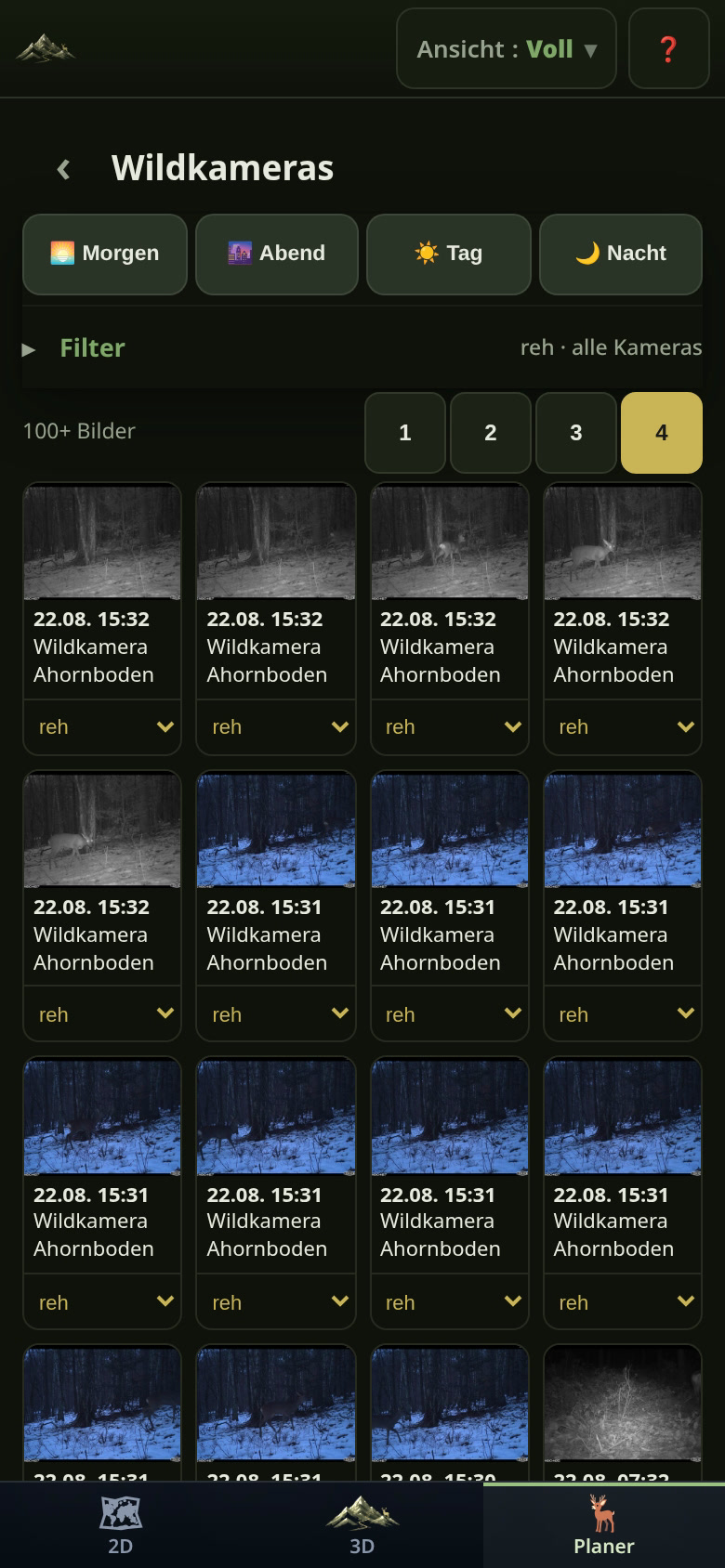 Nach Kamera, Wildart und Kategorie filtern
