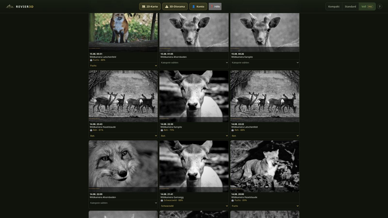 Wildkameras einrichten und Bilder je Kamera zuordnen